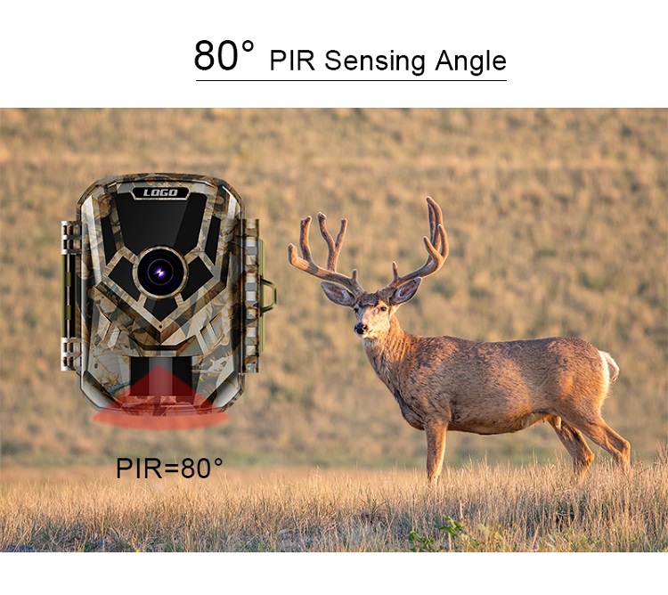 Multifunctional Hunting Camera with Waterproof Animal Detection Camera